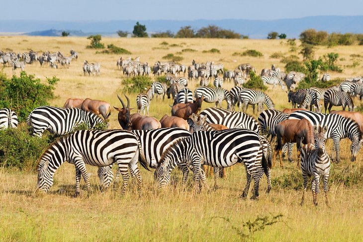 Game Reserves